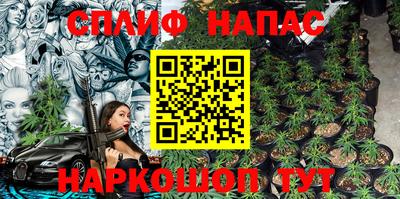 индика Кунгур