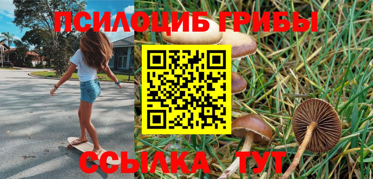 Галлюциногенные грибы Magic Shrooms Ессентуки