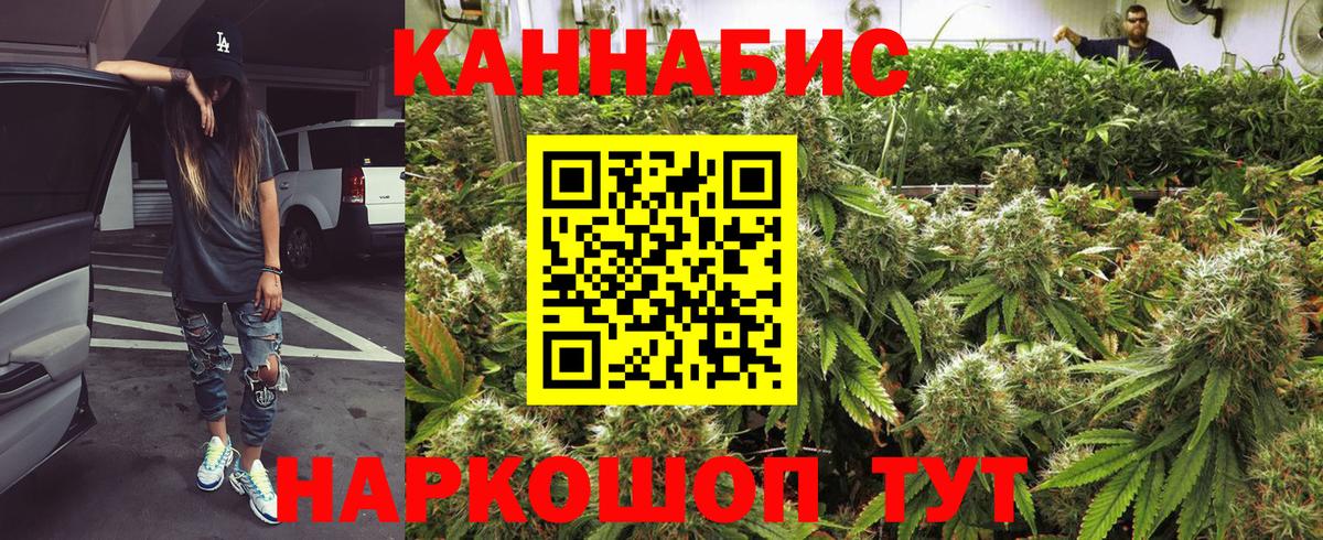 Канабис индика Ессентуки